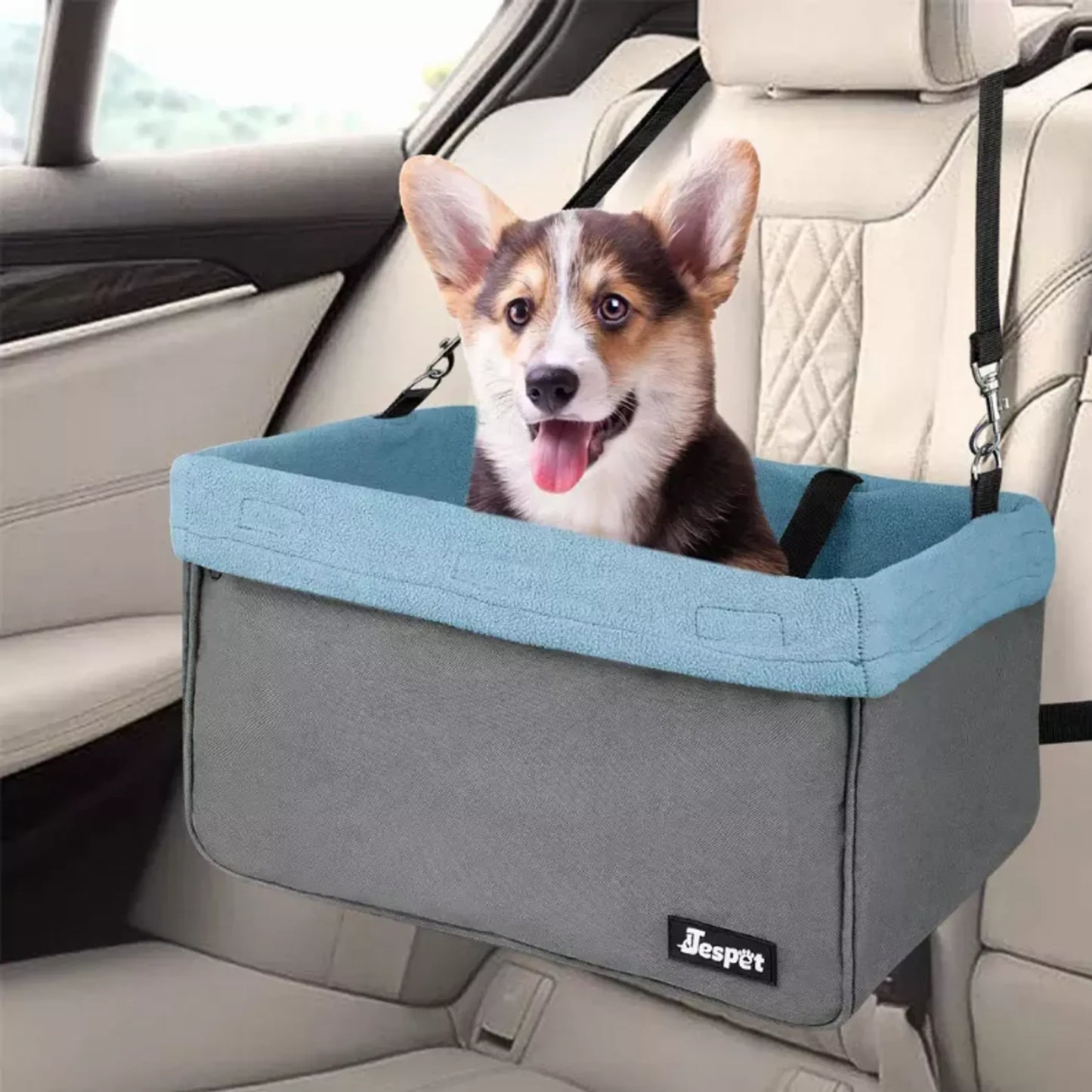 Booster Car Seat