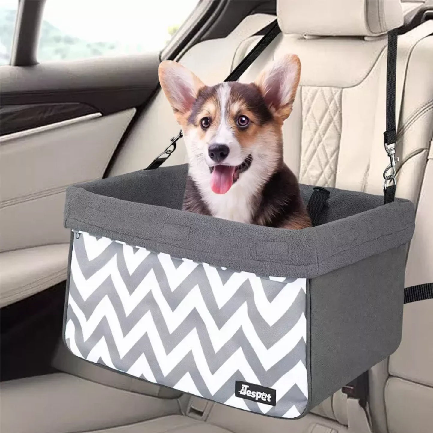 Booster Car Seat