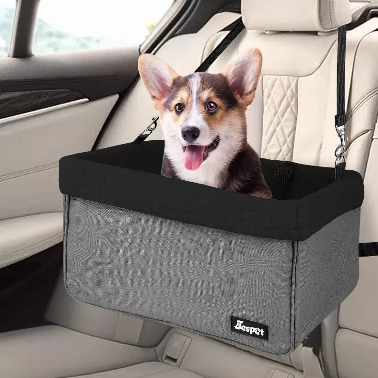 Booster Car Seat