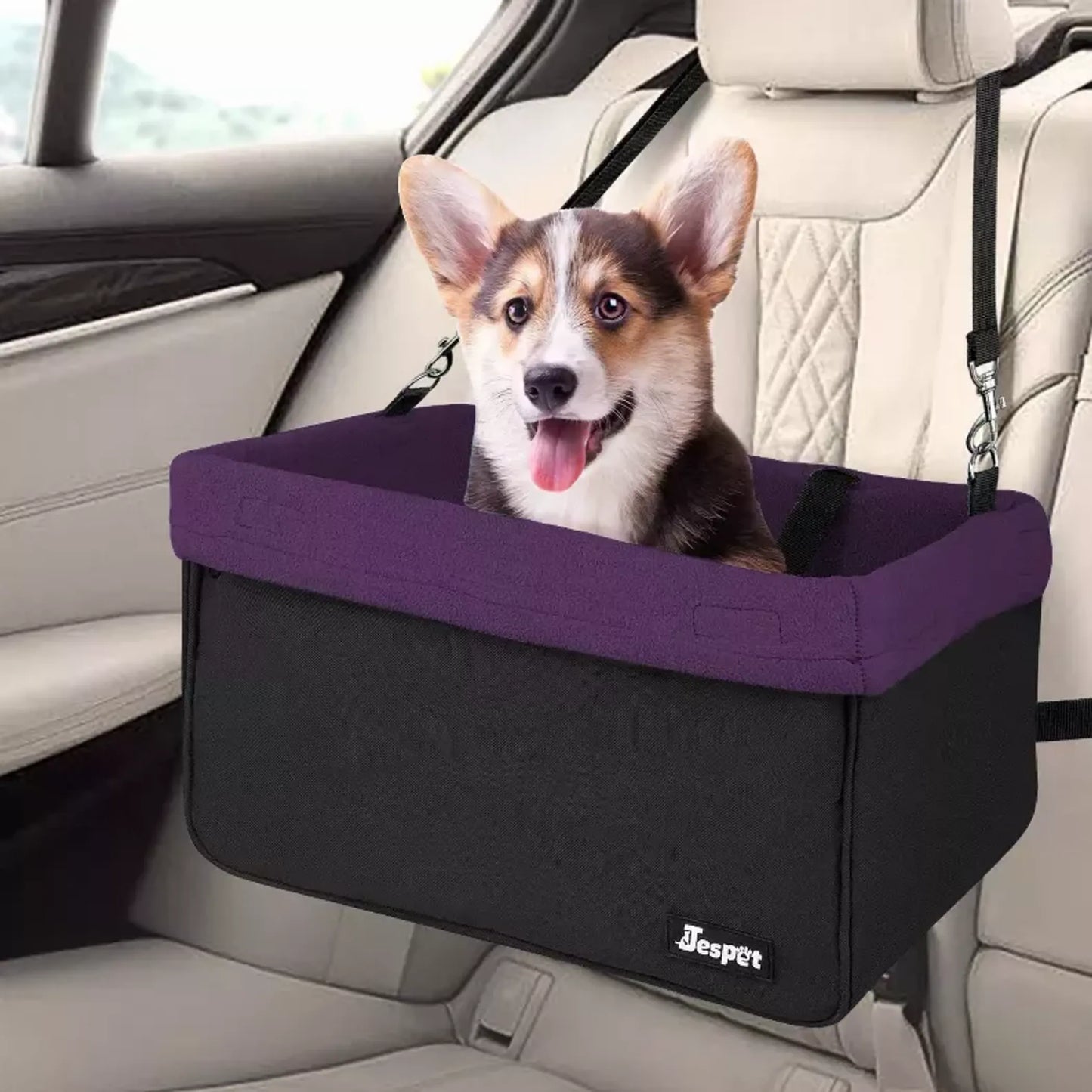Booster Car Seat