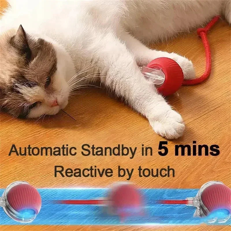 Interactive Moving Ball
