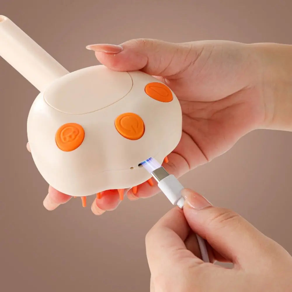 Electric Pet Steam Brush